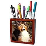 Dogs Sable Border Collies - Sable Border Collie - Tile Pen Holders-5 inch tile pen holder