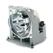 Replacement Lamp for Lt81/lt100 Cust Pay Ship for Po Less Than 10k