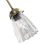 Hunter 28505 2-1/4" Clear Scallop Accessory Glass