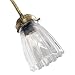 Hunter 28505 2-1/4" Clear Scallop Accessory Glass