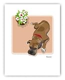 Paper Russells PAGNC653 Grrreen Single Note Card - Boxer and Flower Pot
