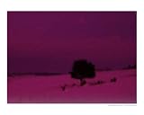 County Line Road, Monument Colorado Scenic Photographic Poster Print by Julie Tocher, 10x8