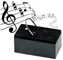 digital music player