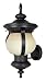 World Imports Lighting 9092-55 Barnsley Outdoor 1-Light Exterior Wall Lantern, Aged Bronze
