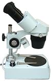 Celestron 44202