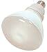 6 Pack Satco S7241 23 Watt R40 2700K Compact Fluorescent Indoor Reflector Light Bulb (85 Watt Replacement)