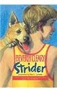 Strider
