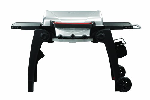 Char-Broil Grill-2-Go Advantage