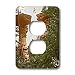 Sandy Mertens Wisconsin - Vintage 1899 Wisconsin Dells Stand Rock - Light Switch Covers - 2 plug outlet cover