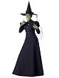 Wicked Witch Traditional Witch Costume Long Black Dress Witch Hat