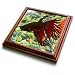 Rebecca Anne Grant Photography Fish - Betta Fish - Trivets
