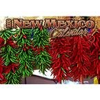 New Mexico 2009 Pocket Planner