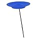 Cirque Du Soleil Spinning Plate (Colors May Vary)