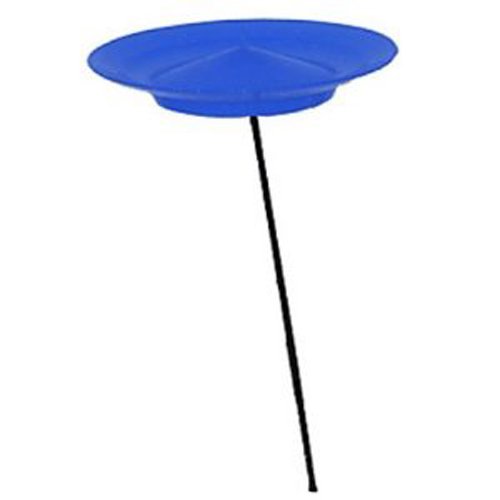 Cirque Du Soleil Spinning Plate (Colors May Vary)