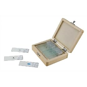 Celestron 44410 Prepared Microscope Slides (25-Piece Set)