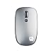 ���W�N�[�� V550 Nano �R�[�h���X ���[�U�[�}�E�X �V���o�[ V-550SV