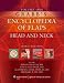 Grabb's
Encyclopedia
of
Flaps:
Three-Volume
Set