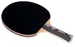 Butterfly Carlos Chiu Table Tennis Racket