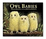 Owl Babies