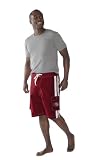 NFL Men's San Francisco 49Ers Swimwear Shorts (Red, XX-Large)
