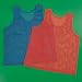 12 Childrens Mesh Sports Practice Team Jerseys - Pinnies - Scrimmage Vest