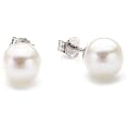 Valero Pearls Valero Classics Damen-Ohrstecker 925 Sterlingsilber S��wasser-Zuchtperlen wei� ca. 8,0-8,5 mm  186150