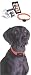 Kitchen & Housewares : Bark Control