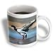Birds - Mallard Duck - Mugs