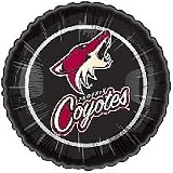 Classic Balloon 85829 PHOENIX COYOTES 31edjP8gb2L. SL160 Classic Balloon 85829 PHOENIX COYOTES