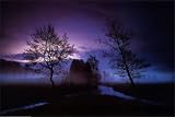 In Dreams Photography Poster Print, 36x24
