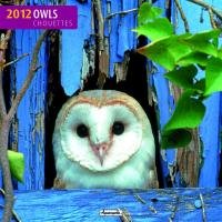 Eulen / Owls 2012 Brosch&uuml;renkalender