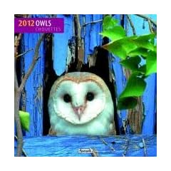 Eulen / Owls 2012 Brosch�renkalender