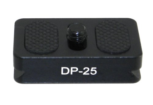 cyber monday price Desmond DP-25