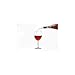 Glacier du Vin Wine Chiller Aerator and Pourer