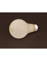 Lighting: Speedball Photo Flood Bulb 250W - Speedball