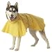 Dickens' Closet Puddles Raincoat for Dogs X-Large Color:Yellow