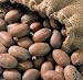 In The Shell Pecan Desirables - Case Of 4 - 5lb. Bags
