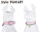 Pink Dog/Pet Collar with Heart Pendant and Matching Leash (Large 15)