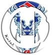 97-09 SUZUKI GSXR600: KEITI GAS CAP PAD - SUZUKI WHITE FLAME 2006 (WHITE)