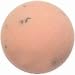 Bath Bomb Gypsy Rose
