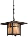 Asian Oak Knoll Outdoor Lighting BY Troy Lighting