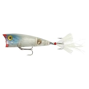 Rebel Teeny Pop-R Fishing Lure