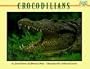 Crocodilians (Mondo Animals)