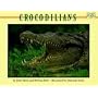Crocodilians (Mondo Animals)