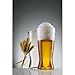 Spiegelau Classics Tall Pilsner Beer Glass, Set of 2