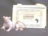 Animals In Transit Leopard