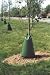 Tree Gator 98183 20-Gallon Treegator Original Landscaper