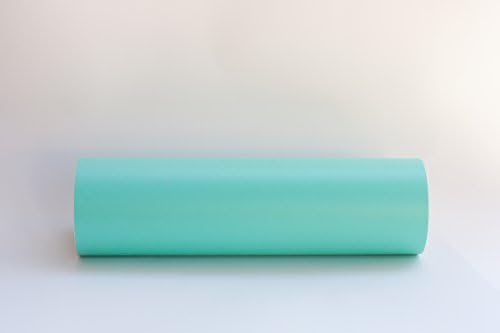 Premium Adhesive Vinyl for Craft Cutting, Silhouette and Cricut 12" X 4 Feet (Mint)