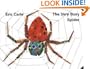 Very Busy Spider