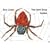 The Very Busy Spider